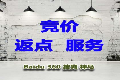 百度推广公司案例分享：如何通过百度推广实现持续增长