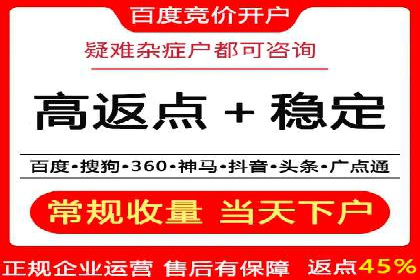 网络推广与竞价优化成功案例